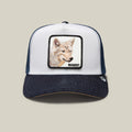 The Bandit Coyote