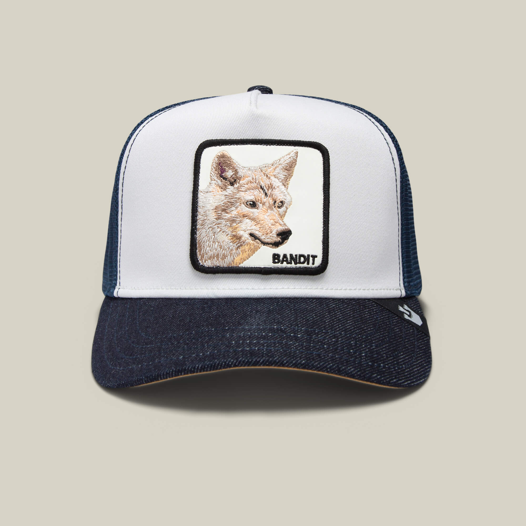 The Bandit Coyote