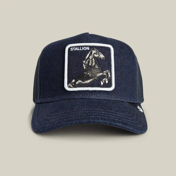Denim Stallion