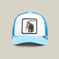 Mammoth Kiddo